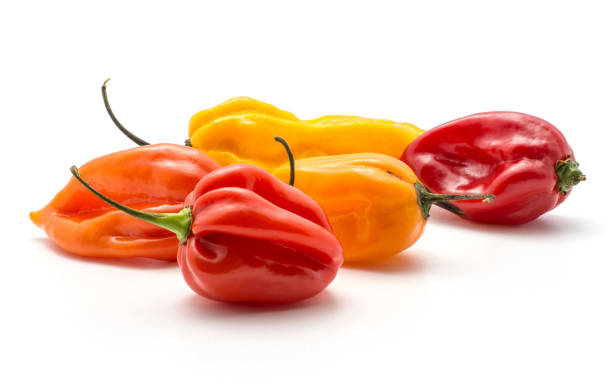 istock Fresh Habanero chilli isoated on white 923897202