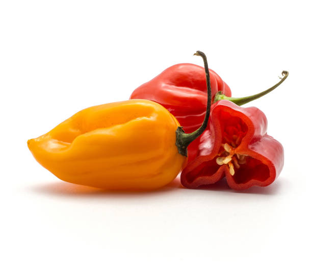 istock Fresh Habanero chilli isoated on white 923897272