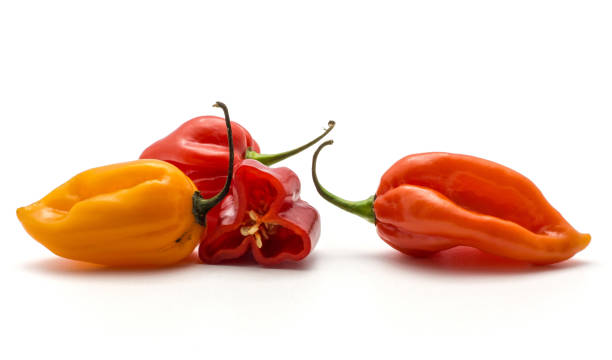 istock Fresh Habanero chilli isoated on white 923897278