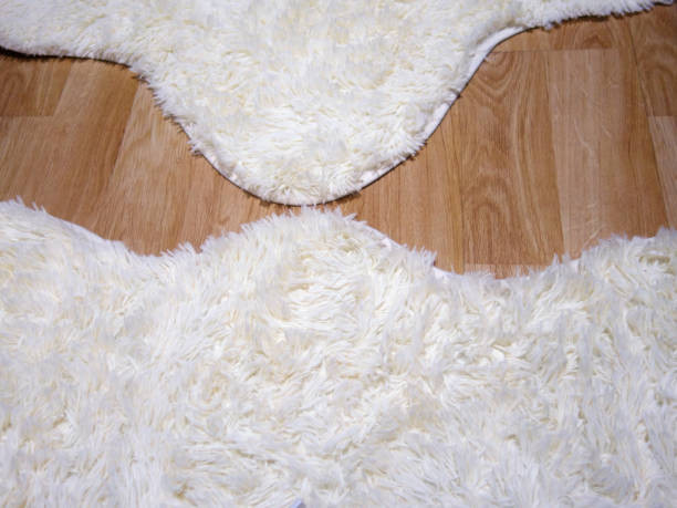 istock animal hides on Parquet floor 923897648