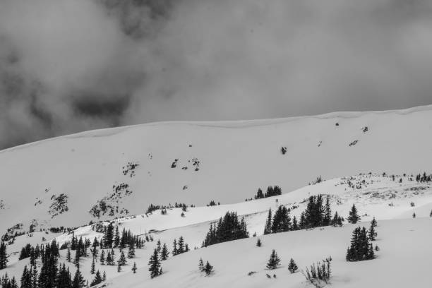 istock Rocky Mountains in Winter 923898138