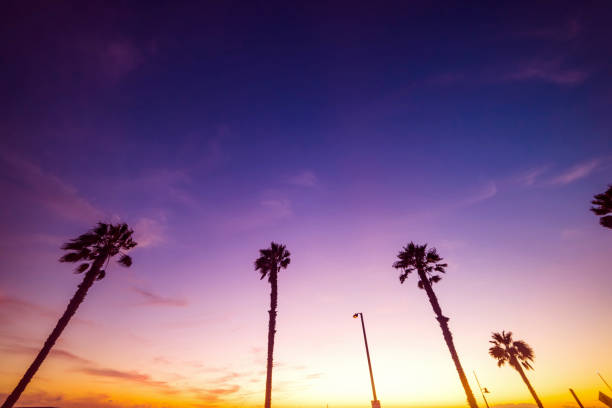 istock Pink sunset in Santa Monica beach 923898444