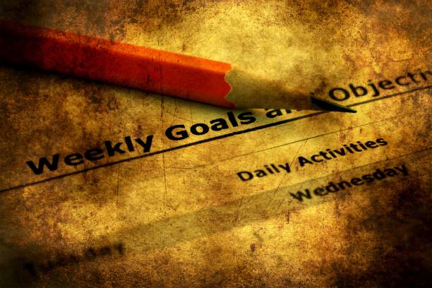 istock Weekly goals and objectives grunge concept 923899200