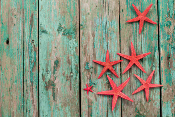 istock Shell and starfish frame with space on wooden old background. 923901380