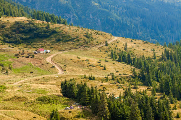 istock Panorama of Carpathian mountains in summer sunny day 923902374