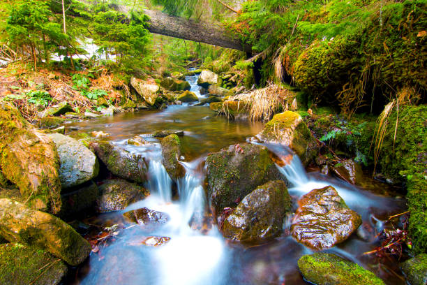 istock Little waterfall in mountain forest with silky foaming water 923902422