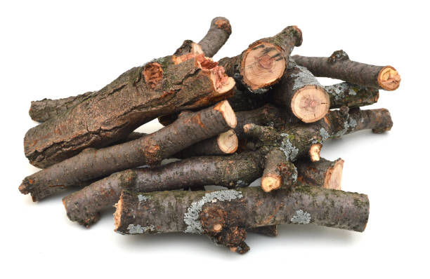 istock stack of firewood logs isolated on white background 923936278
