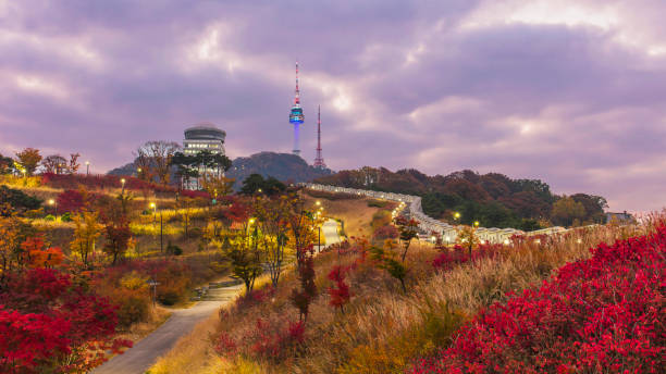 istock Autumn season at Seoul tower 923948946