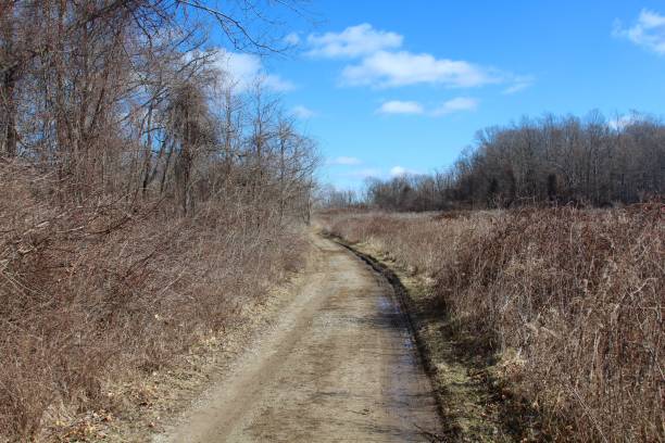 istock Dirt Country Road 923955568