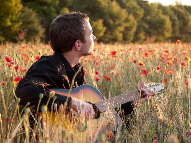 istock Guitarist in field 92395668