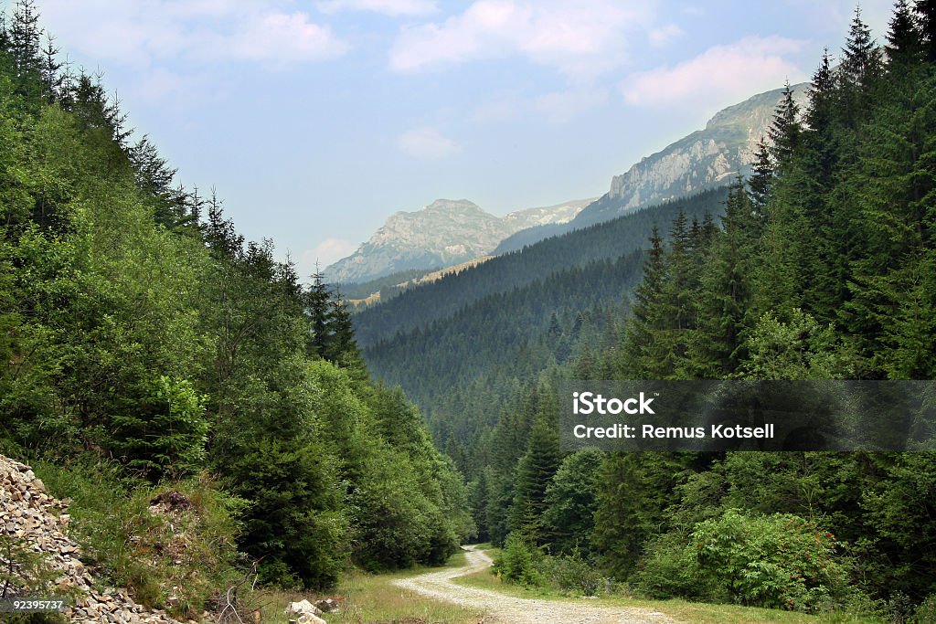 Carpathian Mountain - Photo de Bleu libre de droits