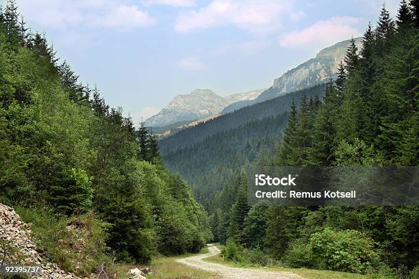 Carpathian Mountain - Fotografie stock e altre immagini di Ambientazione esterna - Ambientazione esterna, Blu, Catena dei Carpazi