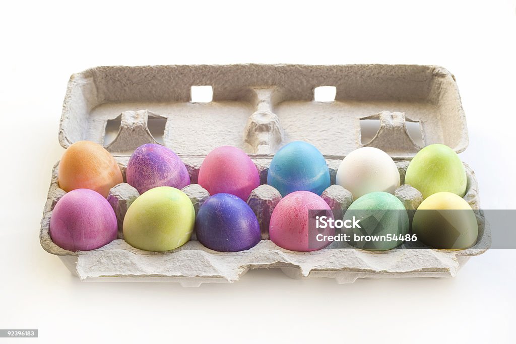 Dozen Easter Eggs in an Egg Carton  Animal Egg Stock Photo
