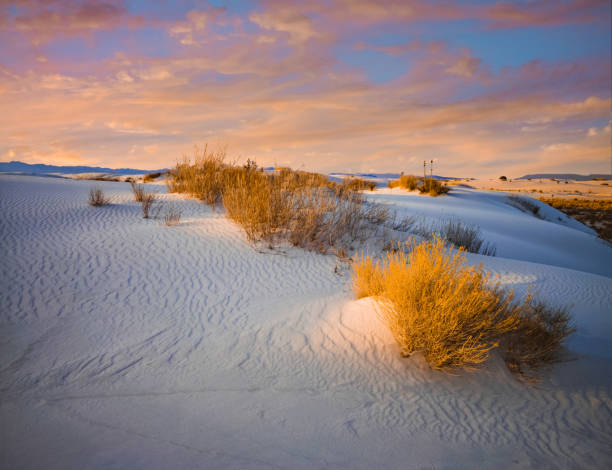istock White Sands National Monument. New Mexico(P) 923962268