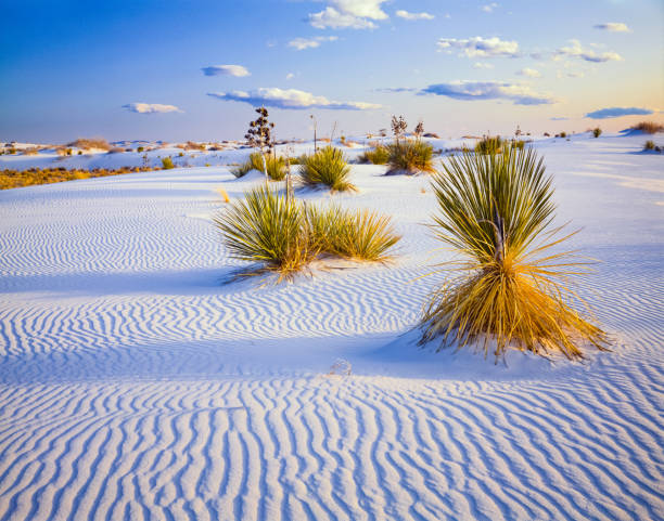 istock White Sands National Monument. New Mexico 923962328