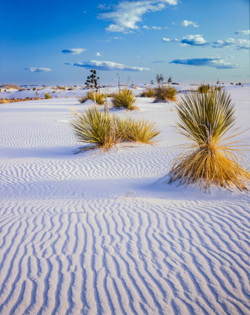 istock White Sands National Monument. New Mexico 923962340