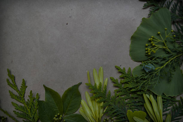 green leaves frame, old paper background