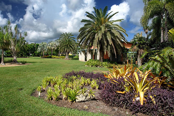 istock Fairchild tropical botanic garden 92396575