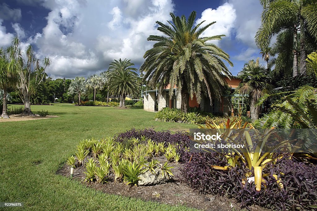 Fairchild tropical botanic garden  Beauty In Nature Stock Photo