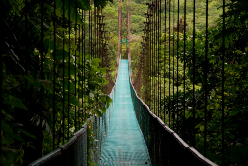 a hanging bridge in the costa rican jungle