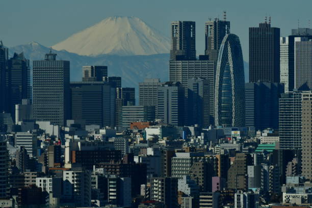 istock Mt Fuji and Tokyo Skyline : Daytime and Evening 923974194