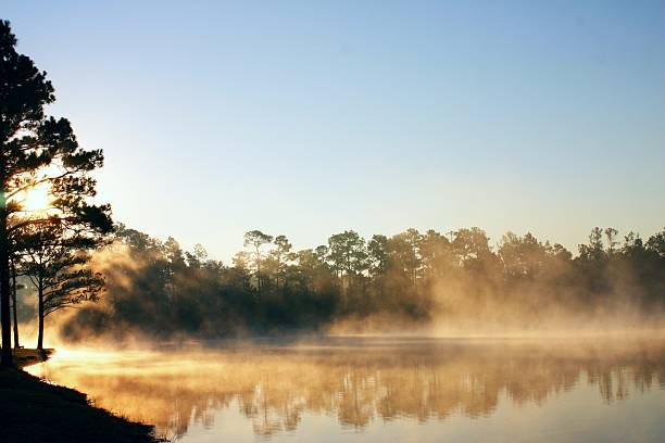 istock Sun Rise Over Lake Preserve with Gorgeous Reflection and Mist 92397470