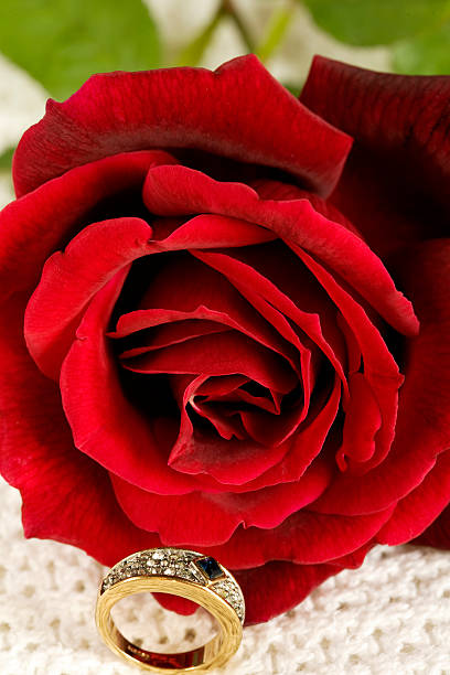 istock Valentines day red rose and engagement ring 92397776