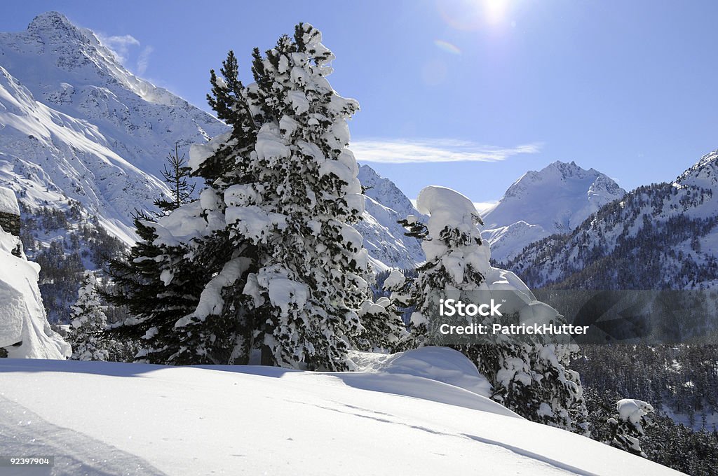 Paysage d'hiver de l'Engadine - Photo de Canton de Graubünden libre de droits