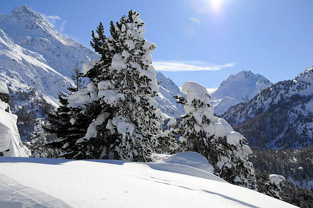istock Winter landscape of the Engadine 92397904