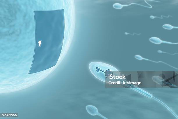 Sperm Stock Photo - Download Image Now - Chemistry, Key, Analyzing