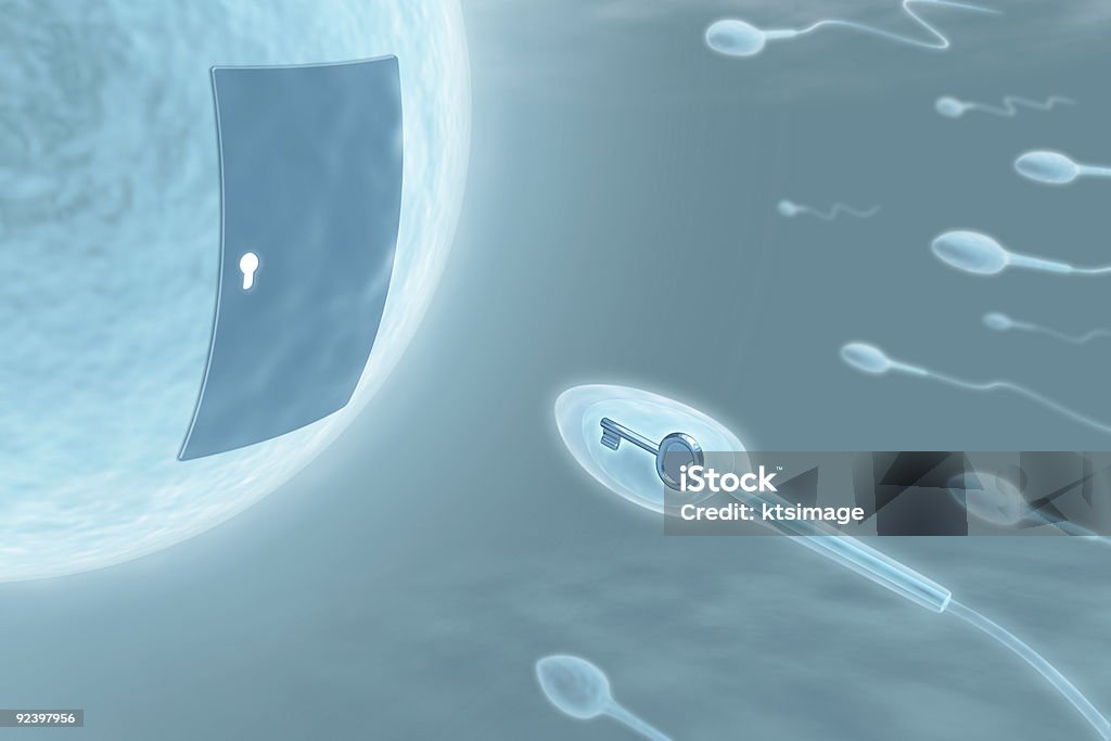 Спермы (основной - Стоковые фото Ключ роялти-фри