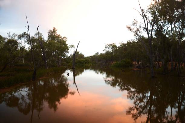istock Dusk at Rock Waterhole near Narrandera NSW 923980808