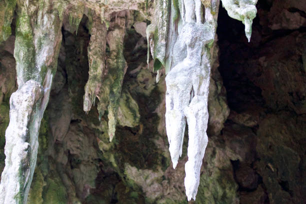 istock Details and forms of rocks on Railay peninsula, Thailand 923982116