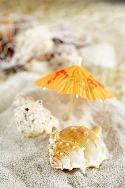 istock Summer holiday detail 92398235