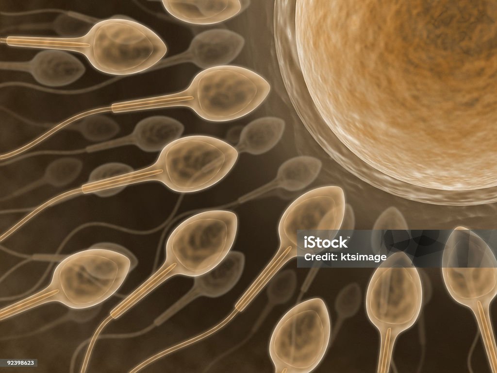Sperma (primo piano - Foto stock royalty-free di Accoppiamento