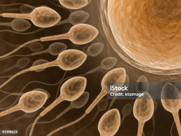 Sperma Primo Piano - Fotografie stock e altre immagini di Accoppiamento - Accoppiamento, Analizzare, Biologia