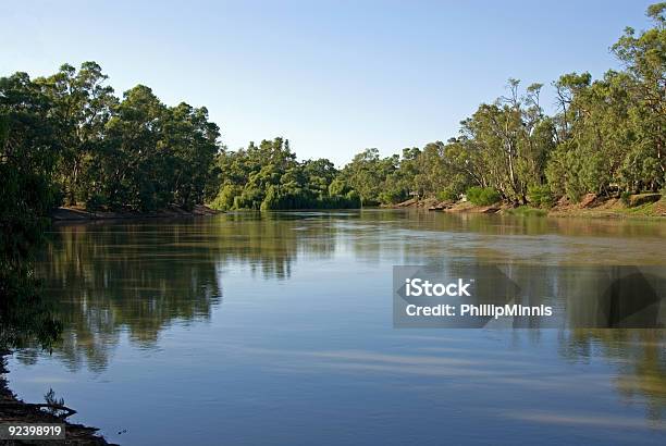 Photo libre de droit de La Rivière Murray banque d'images et plus d'images libres de droit de Swan Hill - Swan Hill, Australie, Victoria