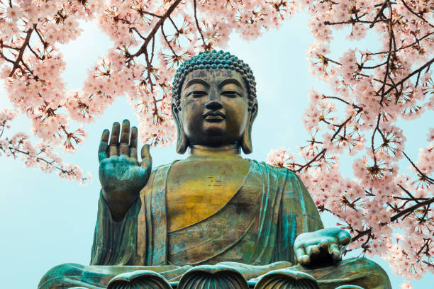 Buddha statue with cherry blossom in Po Lin Monastery, Hong Kong stock photo