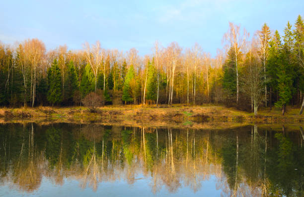 istock Late autumn.November.Bare trees in the forest.Warm sunlight at sunset.Thin ice on the surface of lake.Landscape with beautiful reflection. 923991546