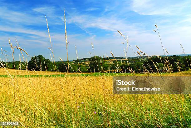 Country Meadow Landscape Stock Photo - Download Image Now - Agricultural Field, Hay, France