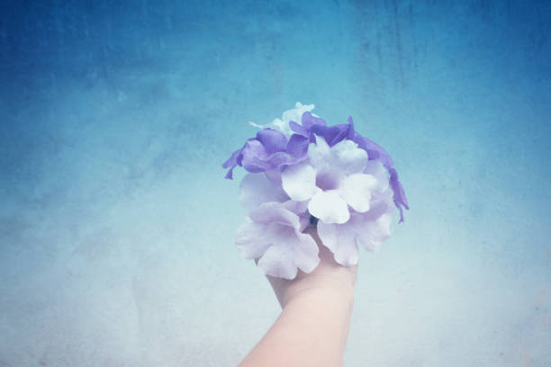 Purple flower bouquet  on hand with empty space ,abstract spring,summer,fresh nature background.