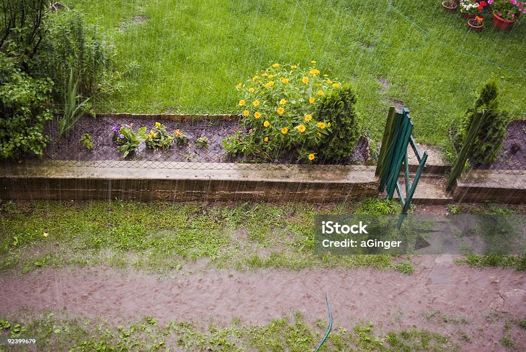 Rainstorm in garden  Flood Stock Photo