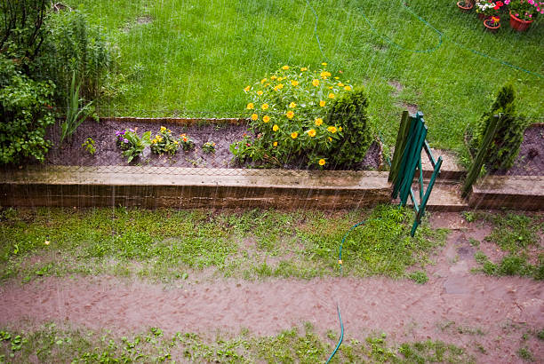 Rainstorm in garden stock photo