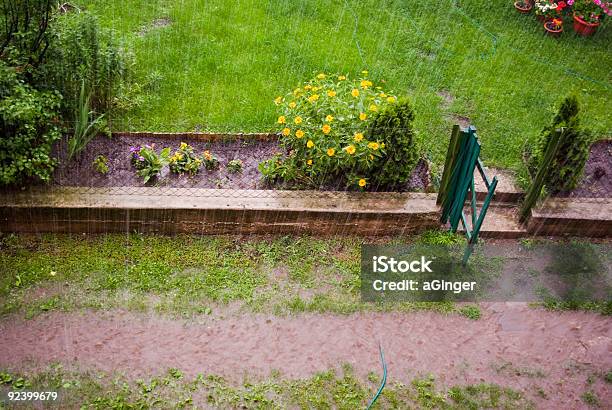 Rainstorm In Garden Stock Photo - Download Image Now - Flood, Damaged, Flowerbed