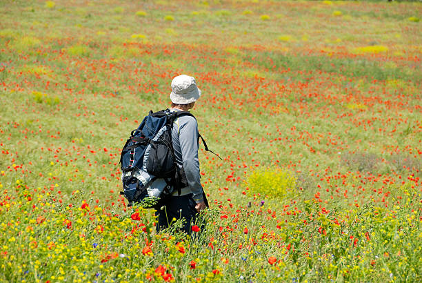 istock Happy hiker on a poppy field 92399852