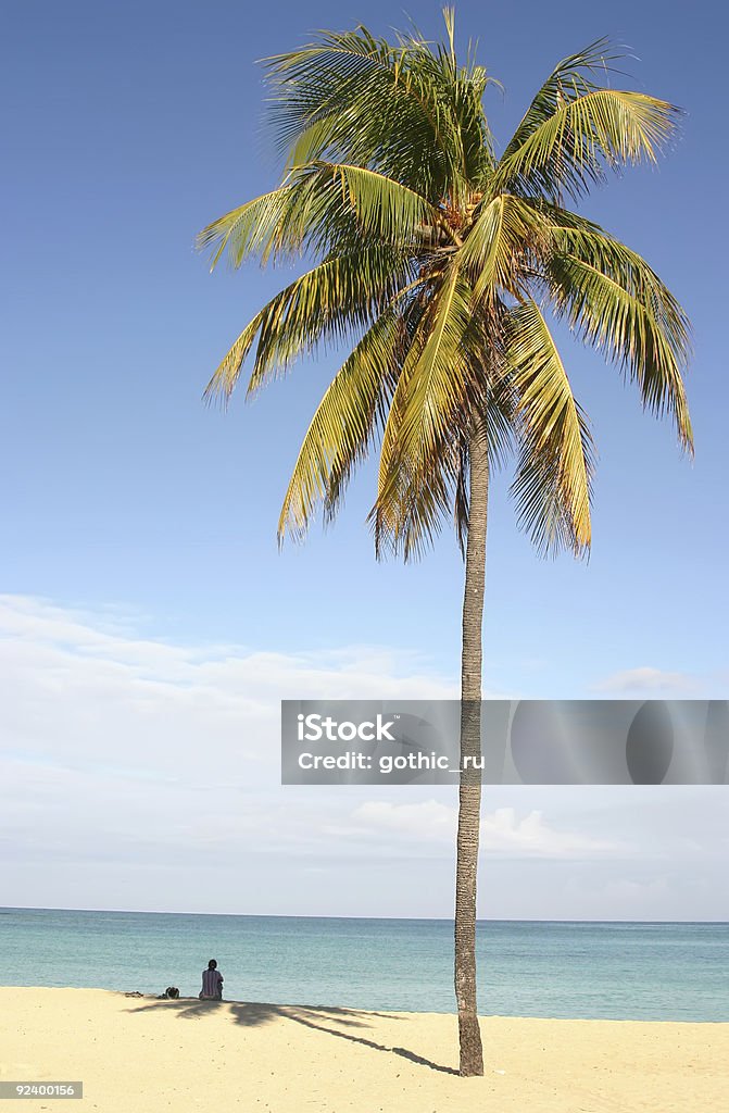 Palm auf caribbian beach - Lizenzfrei Einsame Insel Stock-Foto