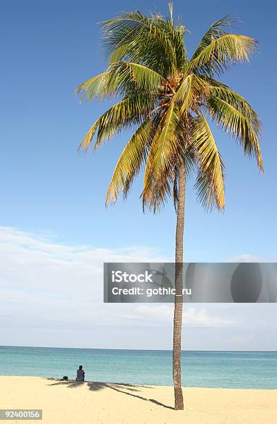 Palm Auf Caribbian Beach Stockfoto und mehr Bilder von Einsame Insel - Einsame Insel, Palme, Ast - Pflanzenbestandteil