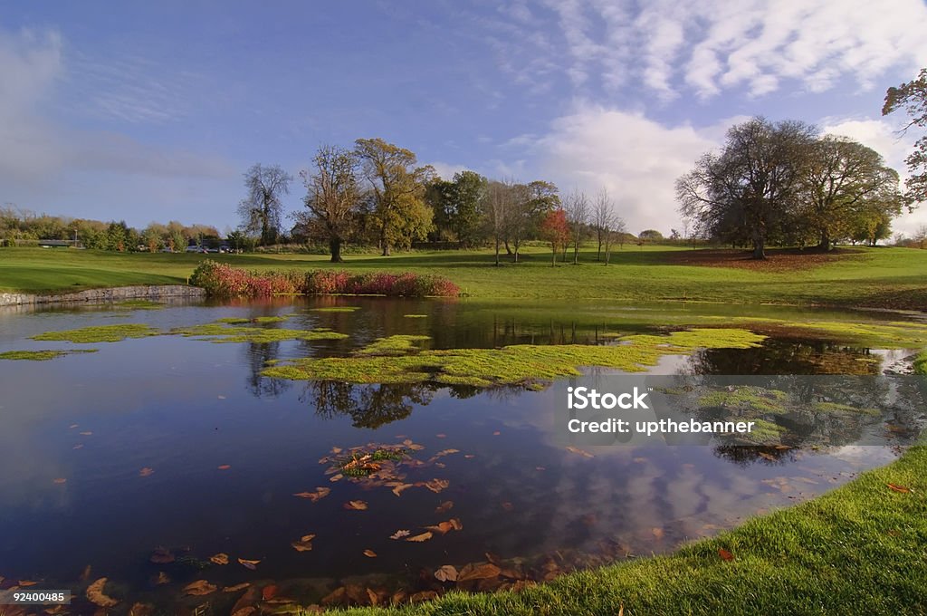 Pole golfowe park Staw przez drzewa i blue sky - Zbiór zdjęć royalty-free (Bez ludzi)