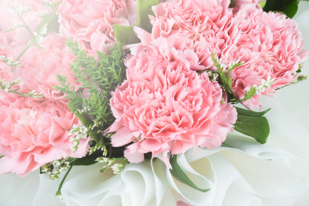 Bouquet of Pink Carnation flowers.