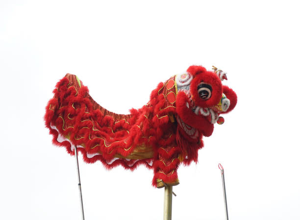 istock Chinese lion costume used during Chinese New Year celebration 924005306